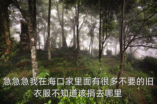 急急急我在海口家里面有很多不要的旧衣服不知道该捐去哪里