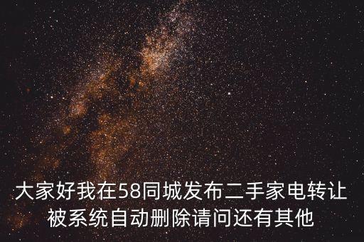 大家好我在58同城发布二手家电转让被系统自动删除请问还有其他