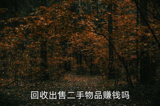回收出售二手物品赚钱吗