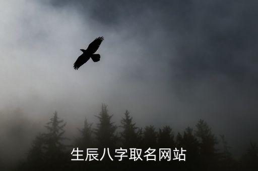 生辰八字取名网站