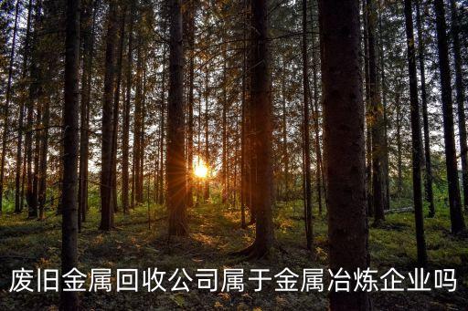废旧金属回收公司属于金属冶炼企业吗