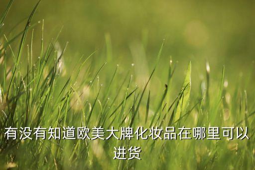 有没有知道欧美大牌化妆品在哪里可以进货