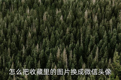 怎么把收藏里的图片换成微信头像
