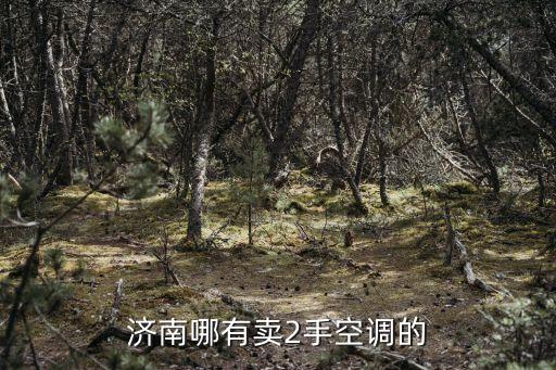 济南哪有卖2手空调的