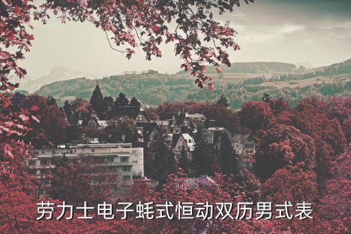 劳力士电子蚝式恒动双历男式表