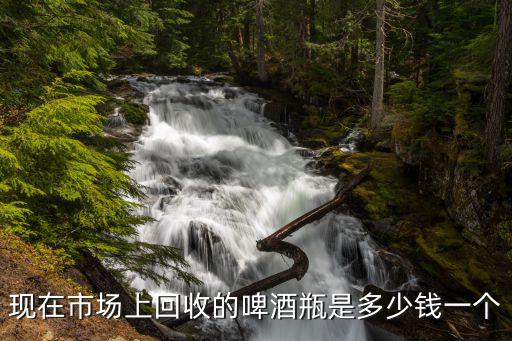 现在市场上回收的啤酒瓶是多少钱一个