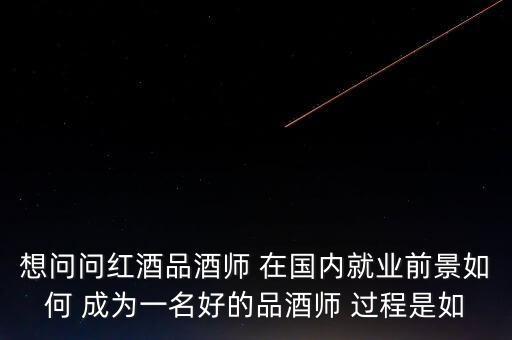 葡萄酒品酒师，想问问红酒品酒师 在国内就业前景如何 成为一名好的品酒师 过程是如