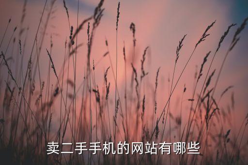 卖二手手机的网站有哪些
