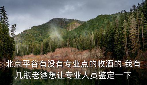 北京平谷有没有专业点的收酒的 我有几瓶老酒想让专业人员鉴定一下