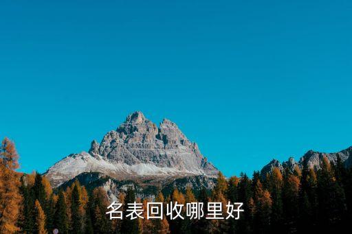 手表一般在哪回收，名表回收哪里好