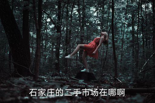 石家庄的二手市场在哪啊