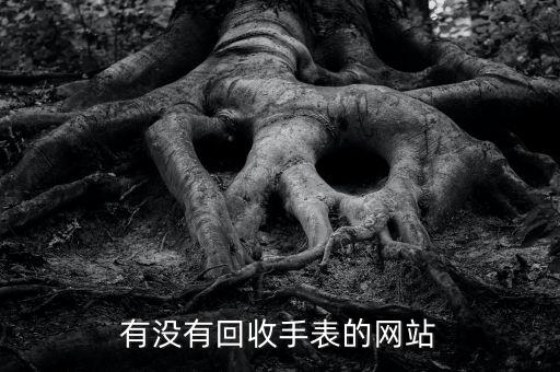 有没有回收手表的网站