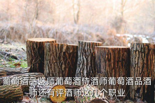 葡萄酒品鉴师葡萄酒侍酒师葡萄酒品酒师还有评酒师这几个职业