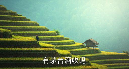 有茅台酒收吗