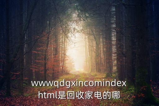 wwwqdgxincomindexhtml是回收家电的哪