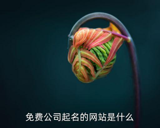 免费公司起名的网站是什么