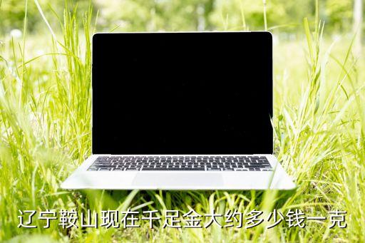 辽宁鞍山现在千足金大约多少钱一克