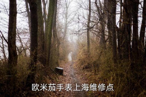 欧米茄手表上海维修点