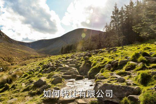如何转让有限公司