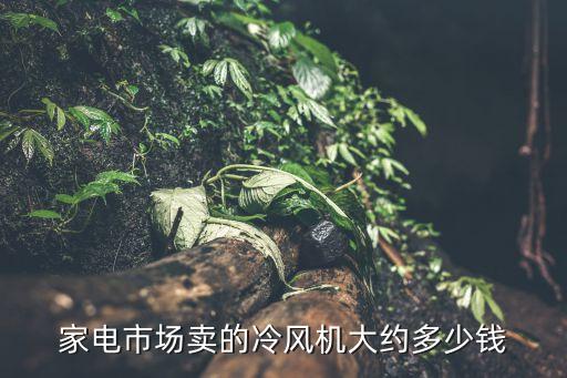 冷风机多少钱一台，家电市场卖的冷风机大约多少钱