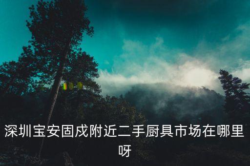 深圳宝安固戍附近二手厨具市场在哪里呀