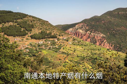 南通特色香烟，南通特产香烟有哪些