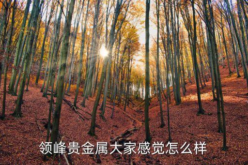 领峰贵金属大家感觉怎么样