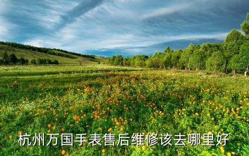 杭州万国手表售后维修该去哪里好