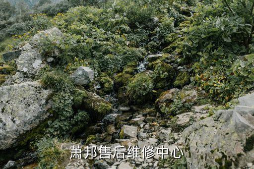 萧邦客服维修中心，萧邦手表维修 新昌名表指定售后维修中心