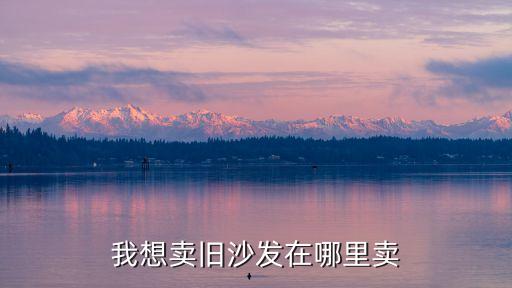 我想卖旧沙发在哪里卖