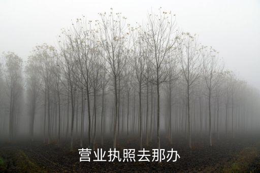 营业执照去那办