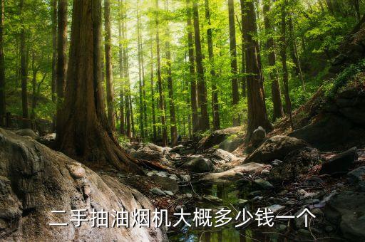 二手抽油烟机大概多少钱一个