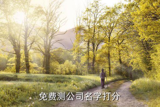 免费测公司名字打分