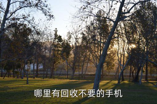 回收二手手机的，哪里有回收不要的手机