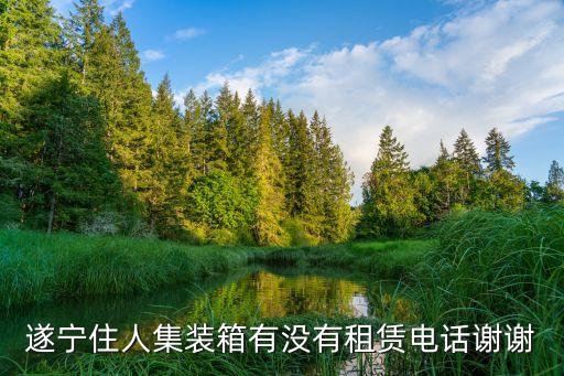遂宁住人集装箱有没有租赁电话谢谢