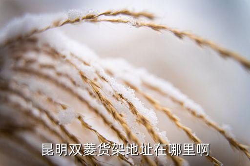 昆明双菱货架地址在哪里啊