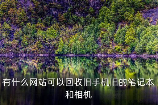 有什么网站可以回收旧手机旧的笔记本和相机