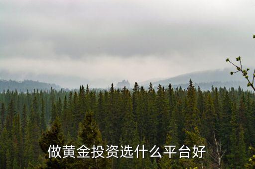 做黄金投资选什么平台好