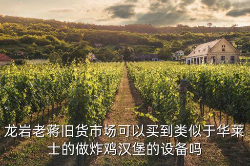 龙岩老蒋旧货市场可以买到类似于华莱士的做炸鸡汉堡的设备吗