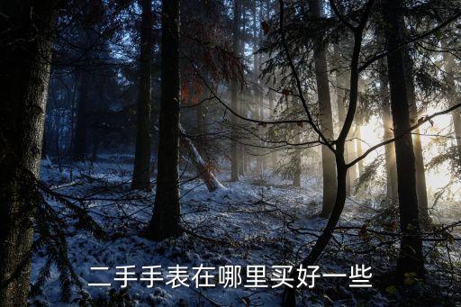二手手表在哪里买好一些