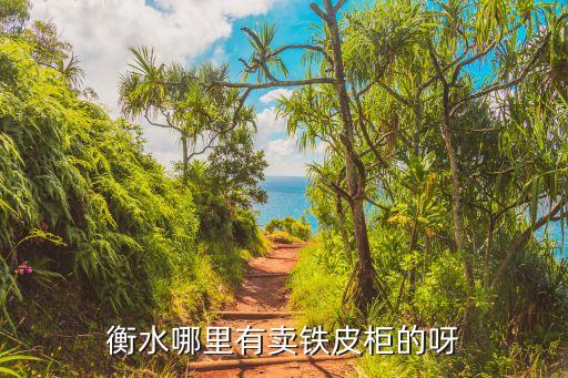 衡水哪里有卖铁皮柜的呀