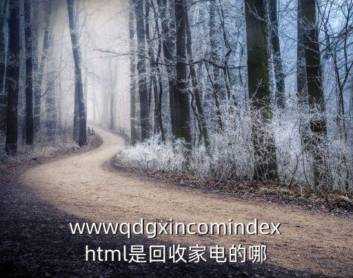 wwwqdgxincomindexhtml是回收家电的哪