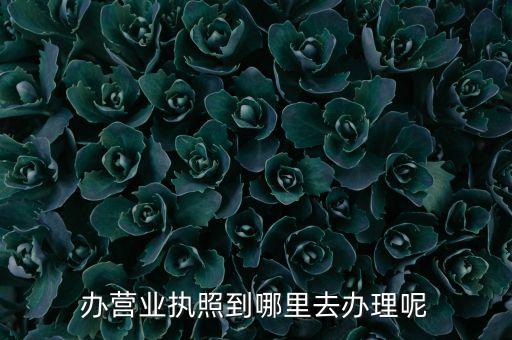 公司营业执照去哪里办，营业执照办在哪里办理