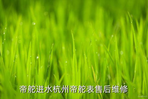 帝舵进水杭州帝舵表售后维修