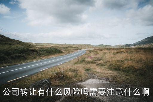 公司转让有什么风险吗需要注意什么啊