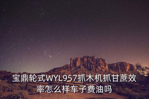 宝鼎轮式WYL957抓木机抓甘蔗效率怎么样车子费油吗