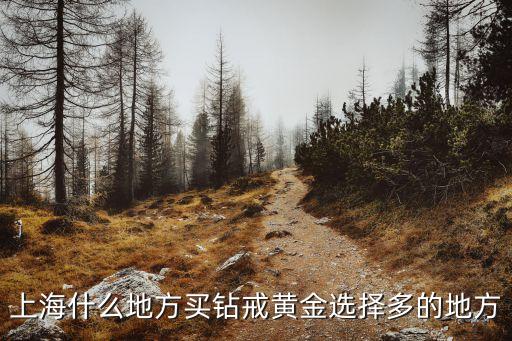 上海什么地方买钻戒黄金选择多的地方