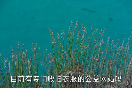 目前有专门收旧衣服的公益网站吗