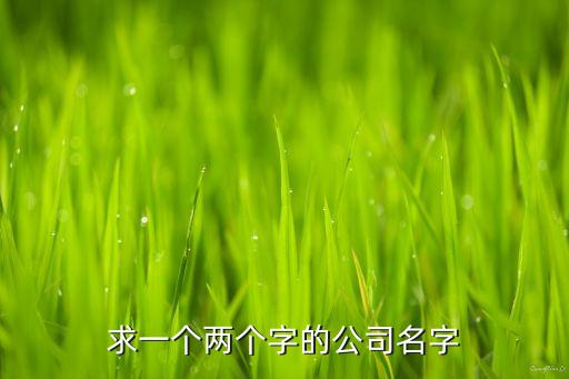注册公司名字查询两个字，公司注册取名最好是两个字的大气一些
