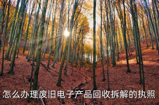 注册废品回收个体户，怎么办理废旧电子产品回收拆解的执照